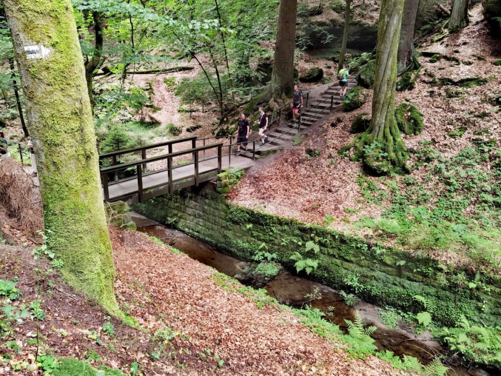 Hier mündet die Schwedenlöcher Wanderung in den Amselgrund