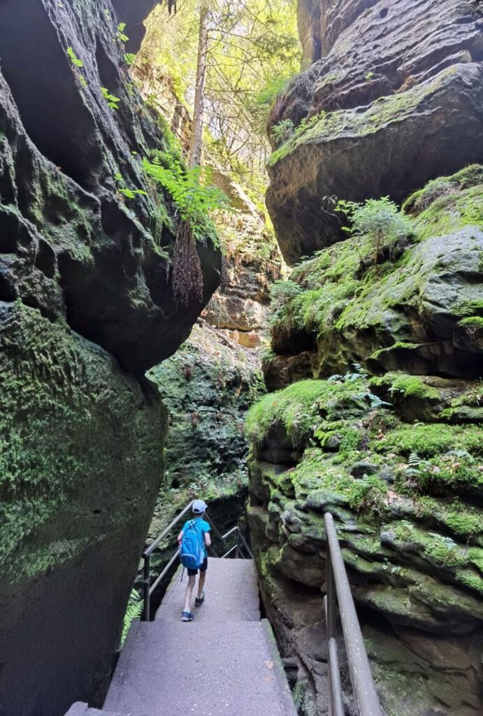 Schwedenlöcher Wanderung mit Kindern - ein besonders prägendes Erlebnis in der Natur