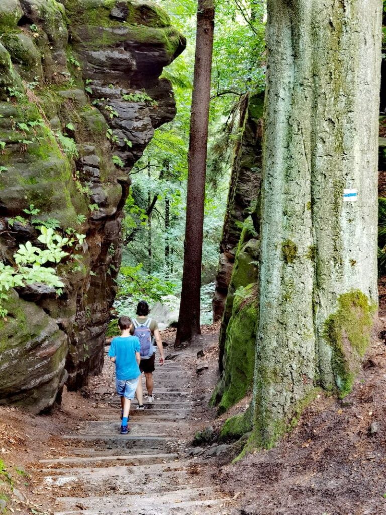 Hinunter in die Schwedenlöcher wandern