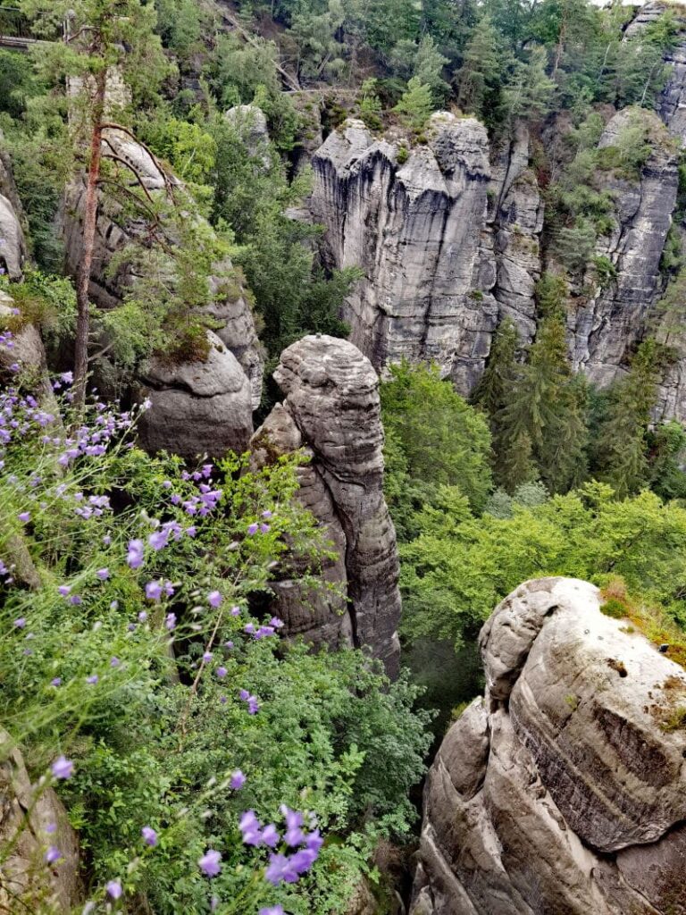 Der Blick von der Felsenburg Neurathen auf die Felsnadeln im Wehlgrund