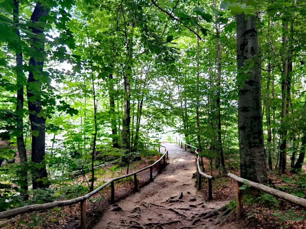 Bastei wandern - zur Wehlsteinaussicht, noch vor der Basteibrücke