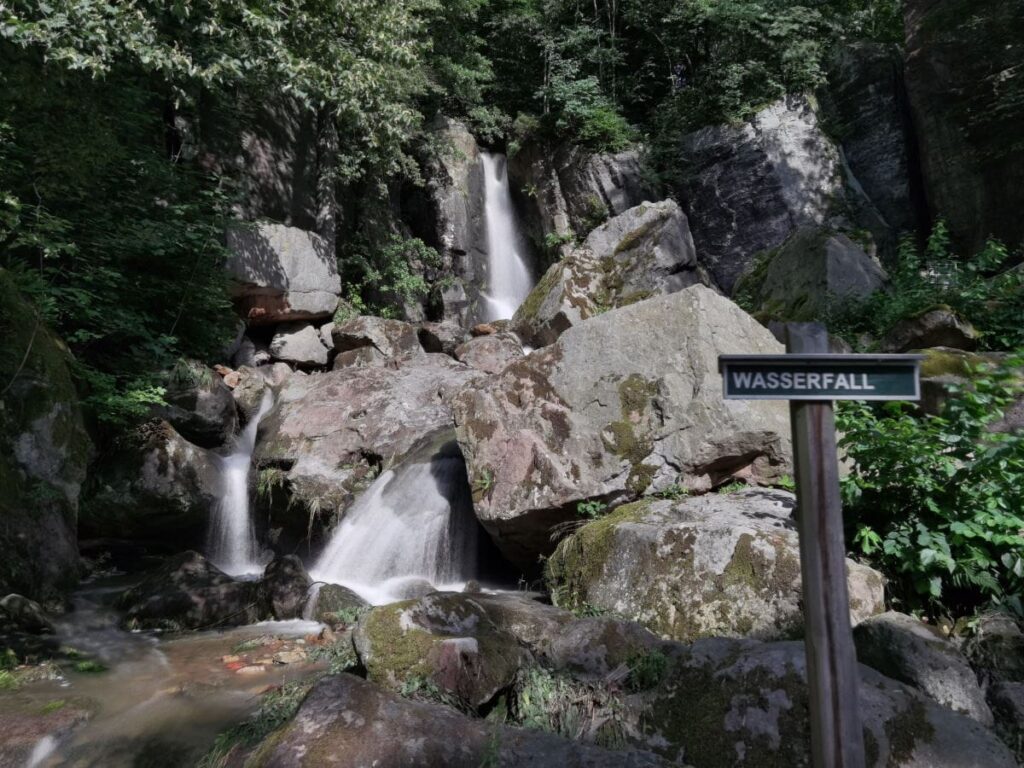 Ausflug zum Langenhennersdorfer Wasserfall