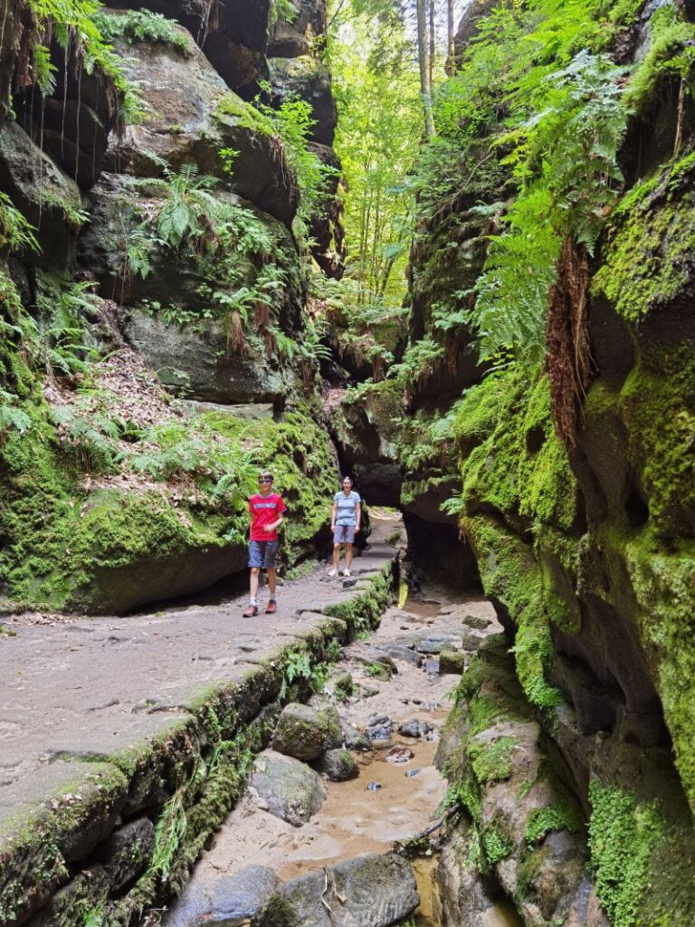 ein schmaler Wanderweg führt durch das Uttewalder Felsentor