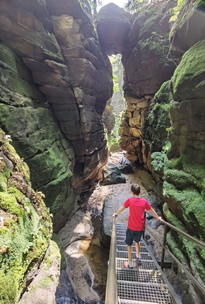 Die Teufelsschlucht im Elbsandsteingebirge - auf dem Weg zum Uttewalder Grund