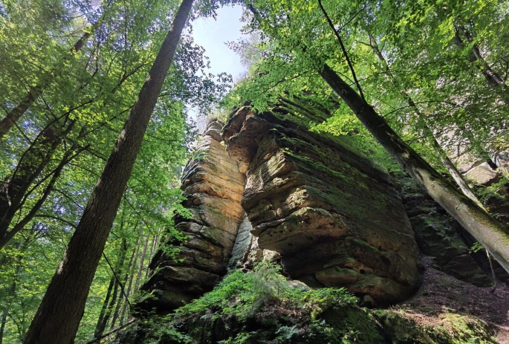 Durch den Uttewalder Grund wandern und diese Felsen neben dem Weg bewundern