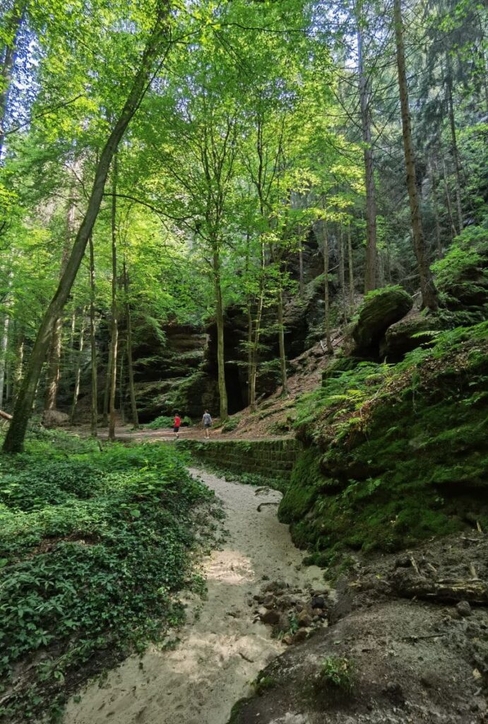 Romantisch durch den Uttewalder Grund wandern