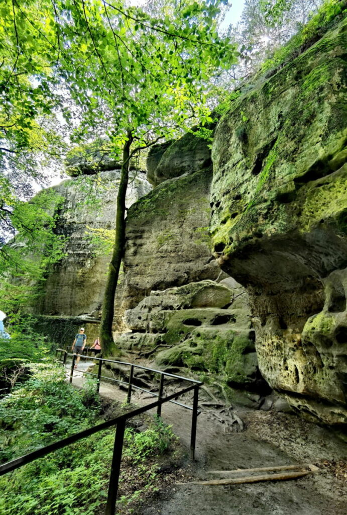 Entdecke die besten Basteibrücke Aussichtspunkte - hier der Weg zur Thiedge Aussicht