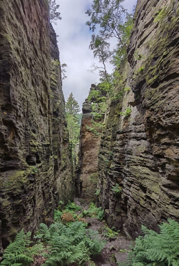 Die Felsengasse bei den Herkulesfelsen im Bielatal