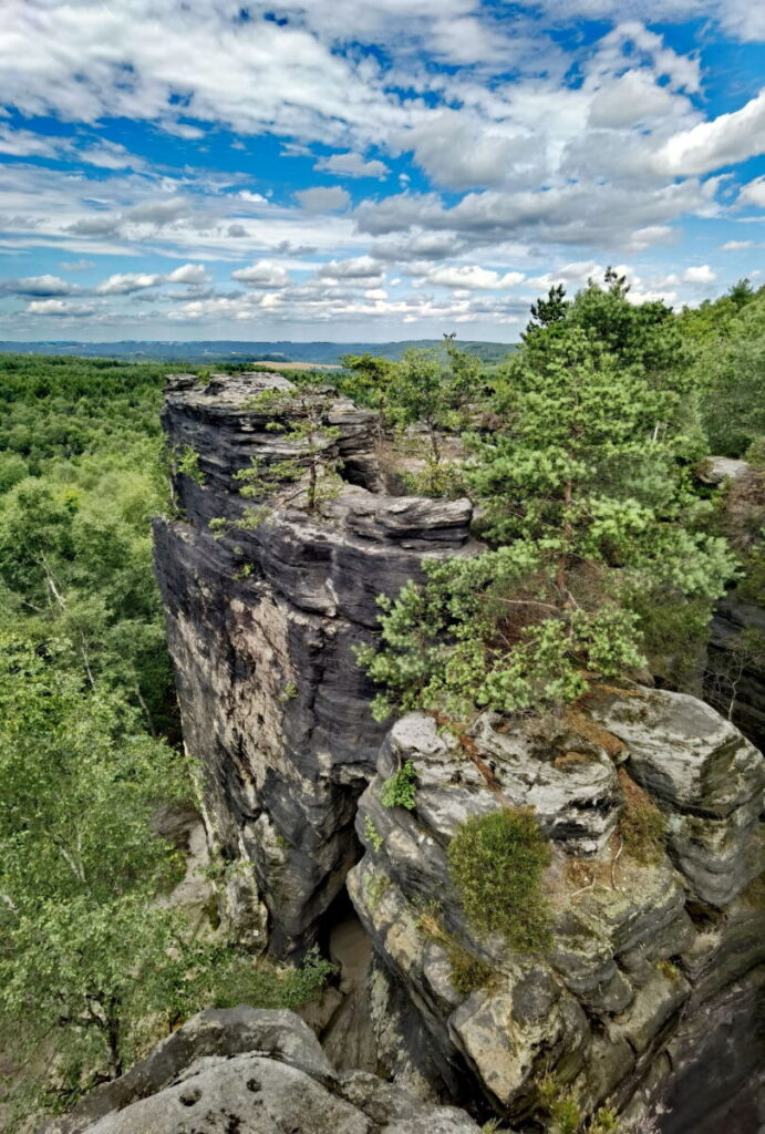 Der Tyssaer Wände Rundweg führt dich über die Felsen und unten entlang