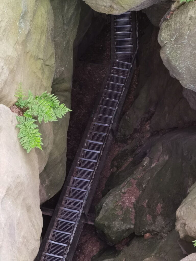 Wolfsschlucht Sächsische Schweiz - Blick vom Hockstein auf die Treppe in der Felsenschlucht