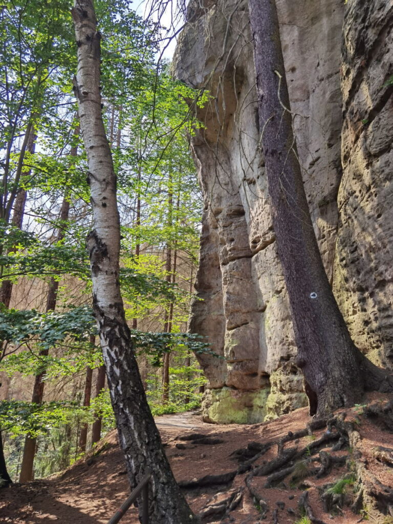 Die Felswände am Hockstein fallen senkrecht ab