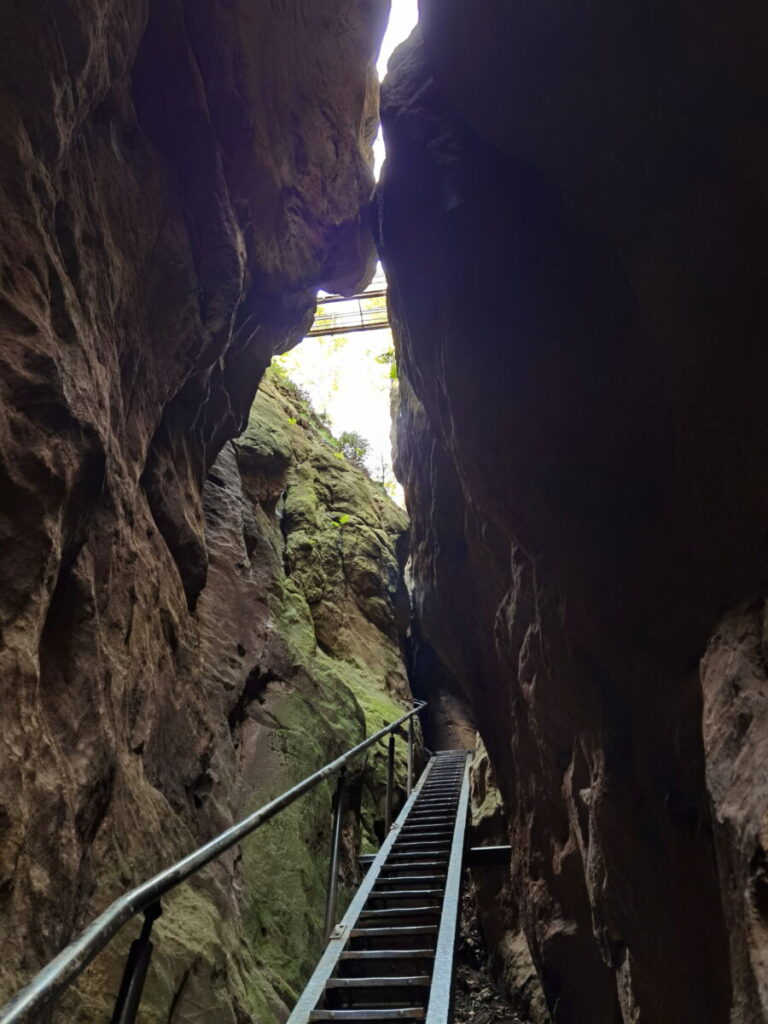 Wolfsschlucht Sächsische Schweiz - so steil führt die Treppe durch die Schlucht
