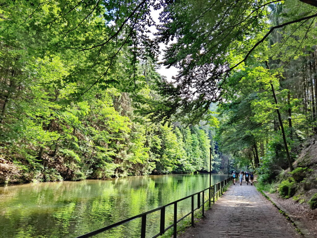 Herzstück der Amselgrund Wanderung: Am Amselsee zwischen Rathen und Rathewalde wandern