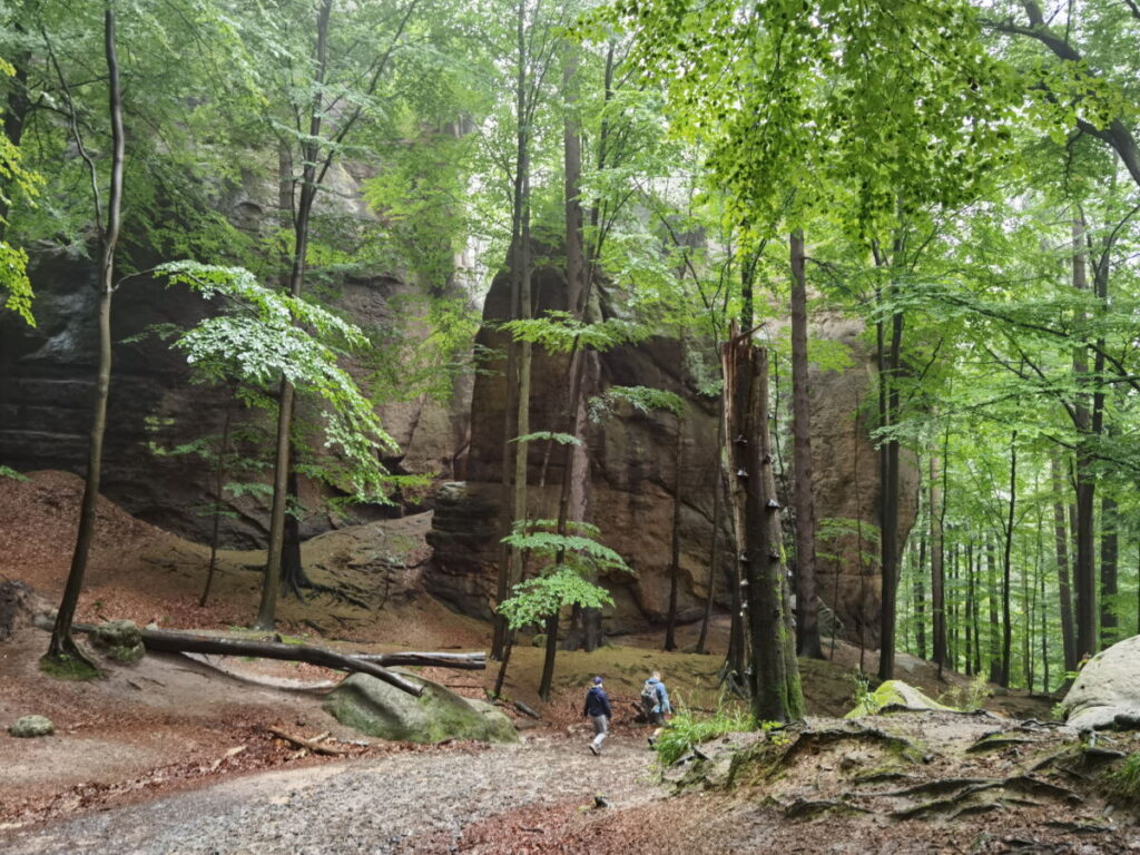 Bad Schandau Sächsische Schweiz - entdecke die atemberaubende Natur