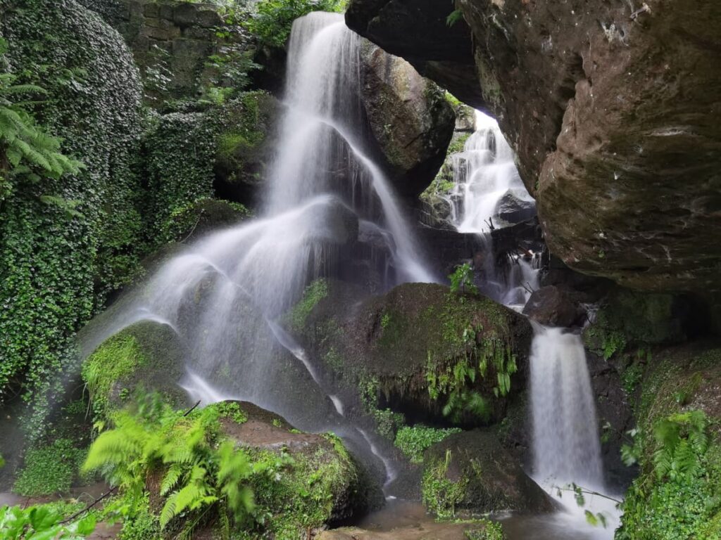 Bad Schandau Sehenswürdigkeiten - der Lichtenhainer Wasserfall im Kirnitzschtal
