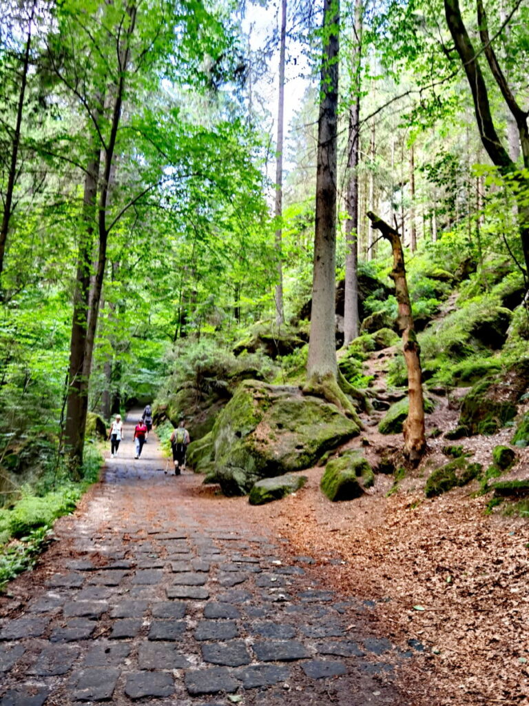 Malerweg Sächsische Schweiz - 8 Etappen führen dich durch die Highlights im Elbsandsteingebirge